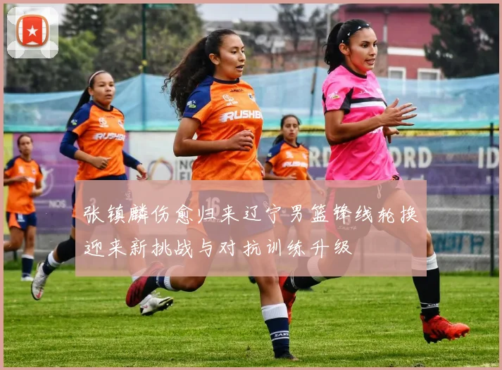 张镇麟伤愈归来辽宁男篮锋线轮换迎来新挑战与对抗训练升级